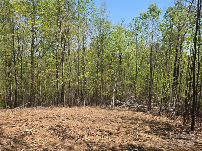Lot 32 High Rock Ridge, Lake Lure, NC -  - $69,900