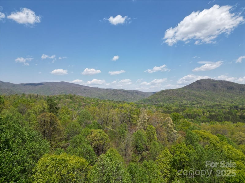 Lot 36 Turkey Fall Lane, Lake Lure, NC -  - $169,900