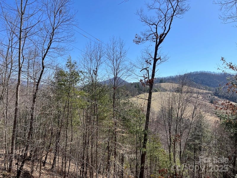 000 Trinity Place, Burnsville, NC -  - $65,000