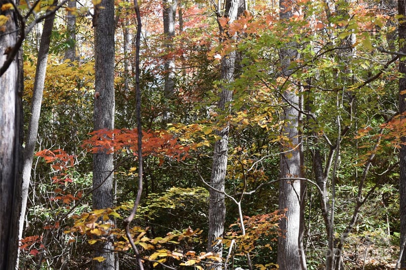 TBD Clear Creek Road, Burnsville, NC -  - $120,000