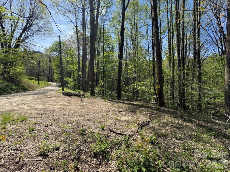 TBD (B) Browning Branch Road, Waynesville, NC -  - $149,000