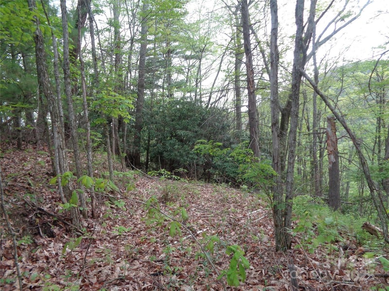 00 Promiseland Road, Canton, NC -  - $80,000