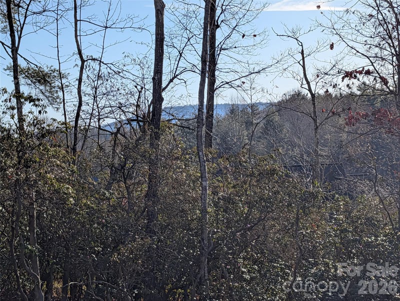 00 Winterberry Drive Apt 54, Hendersonville, NC -  - $95,000
