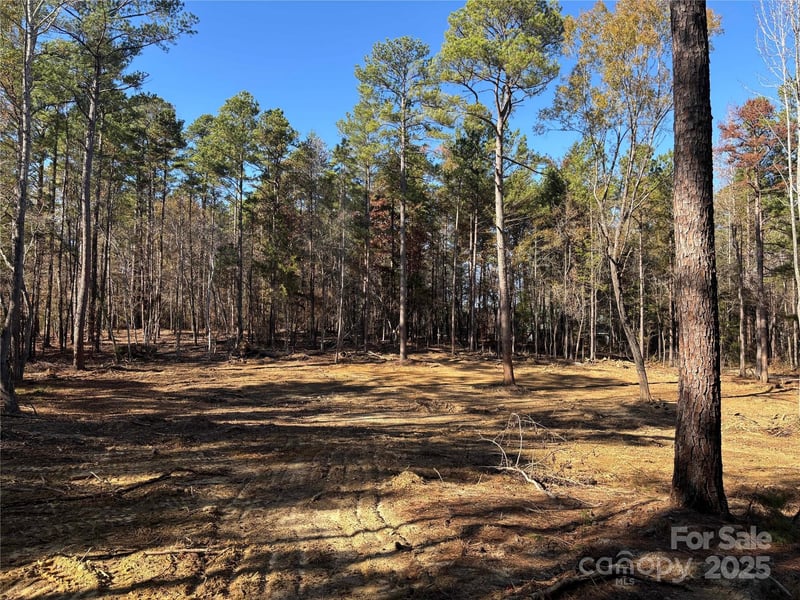 TBD Sunnyside Drive 14 & 15, Lancaster, SC -  - $74,000