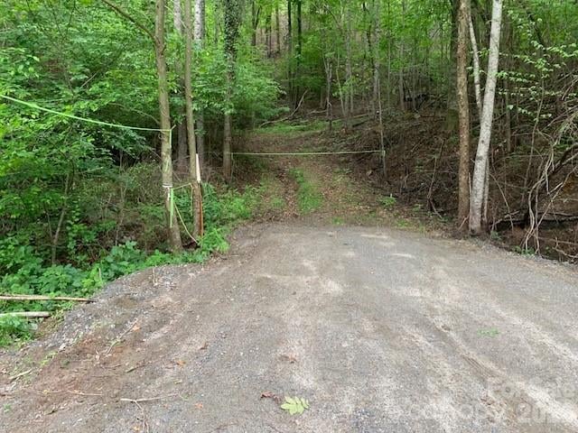 42.16 ACS GREEN RIVER COVE Road 42.162 AC., Saluda, NC -  - $420,000