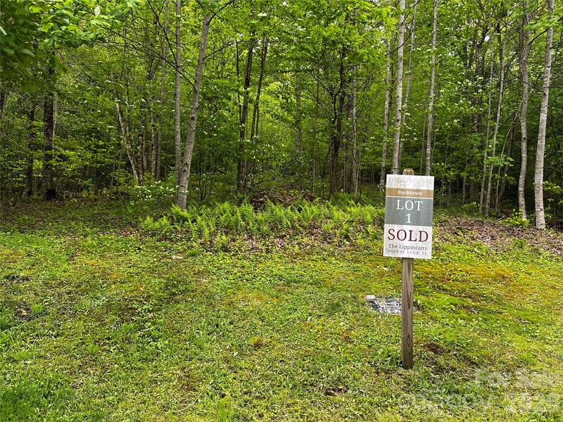 1 Pearl Way, Mars Hill, NC -  - $15,000