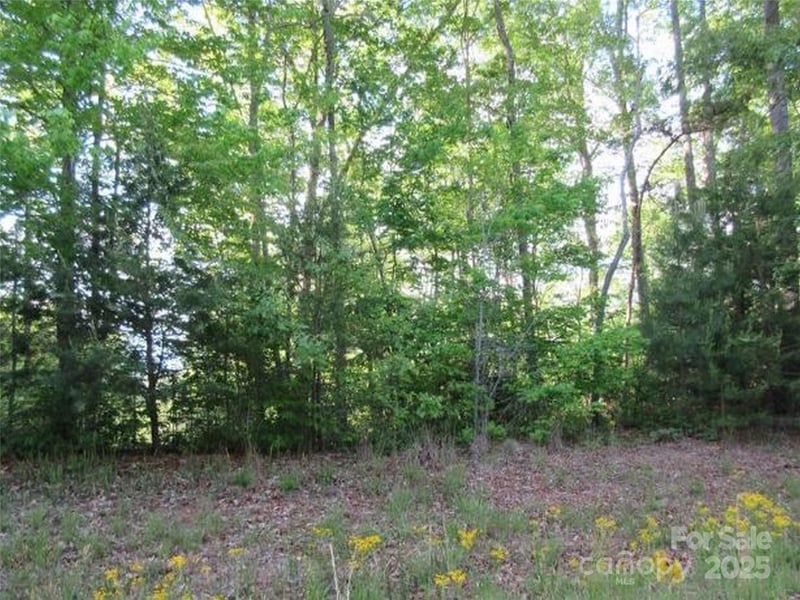 0 S Cross Creek Trail Apt 12, Mill Spring, NC -  - $34,900