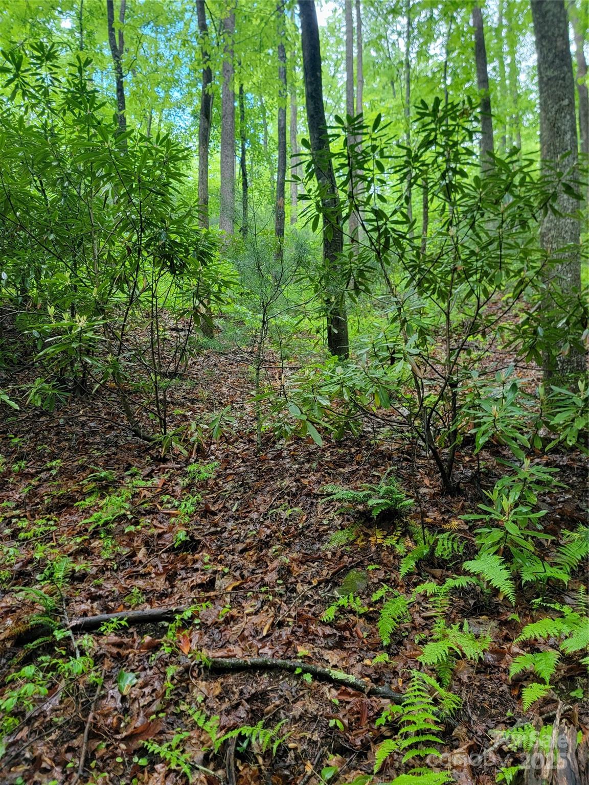 000 Rocky Top Road, Lenoir, NC. property listing photo