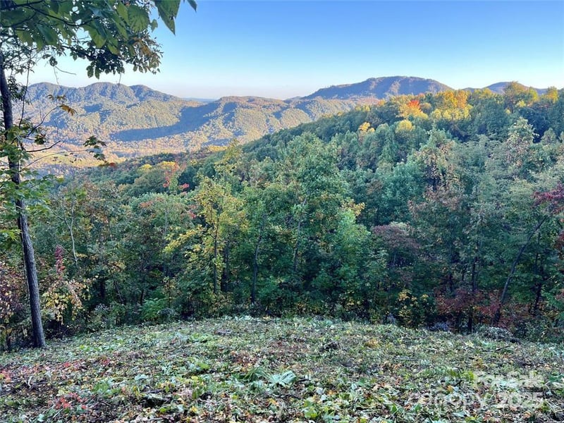 1591 Creston Drive T-78, Black Mountain, NC -  - $169,900