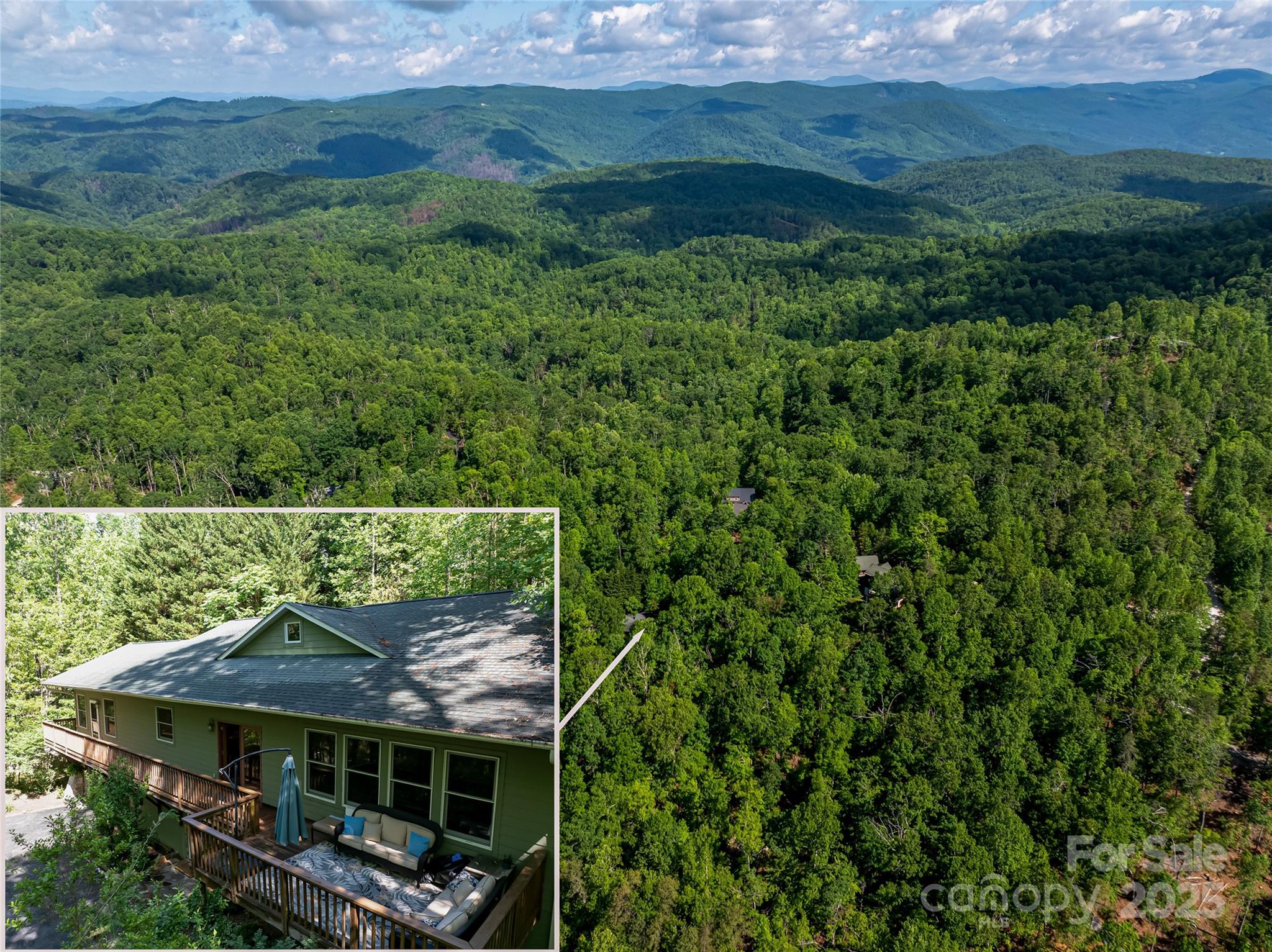 75 Cougar Lane, Saluda, NC. property listing photo