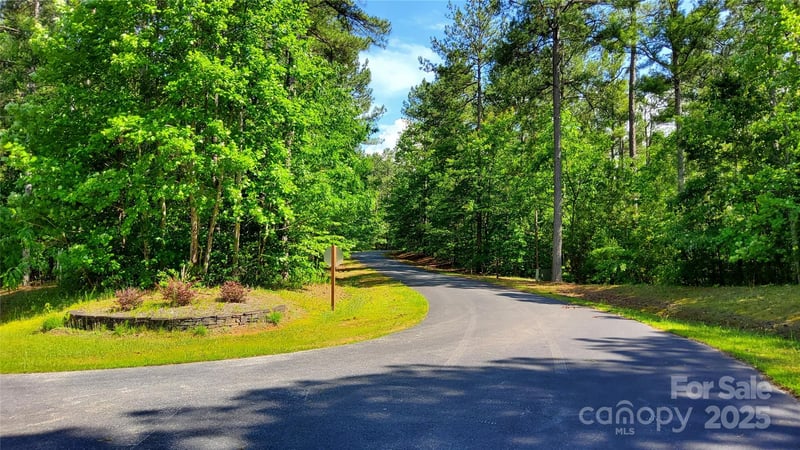 0000 Loblolly Lane 24/23/22, Mill Spring, NC -  - $89,900