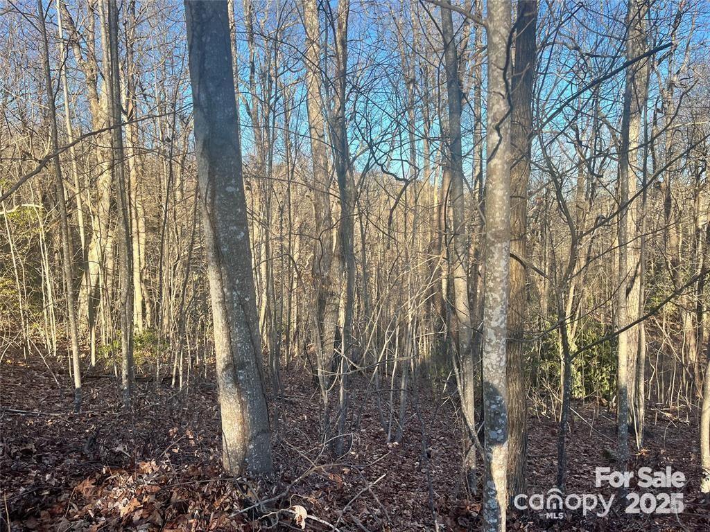 129 Pinnacle Peak Ln, Flat Rock, NC 28731. property listing photo