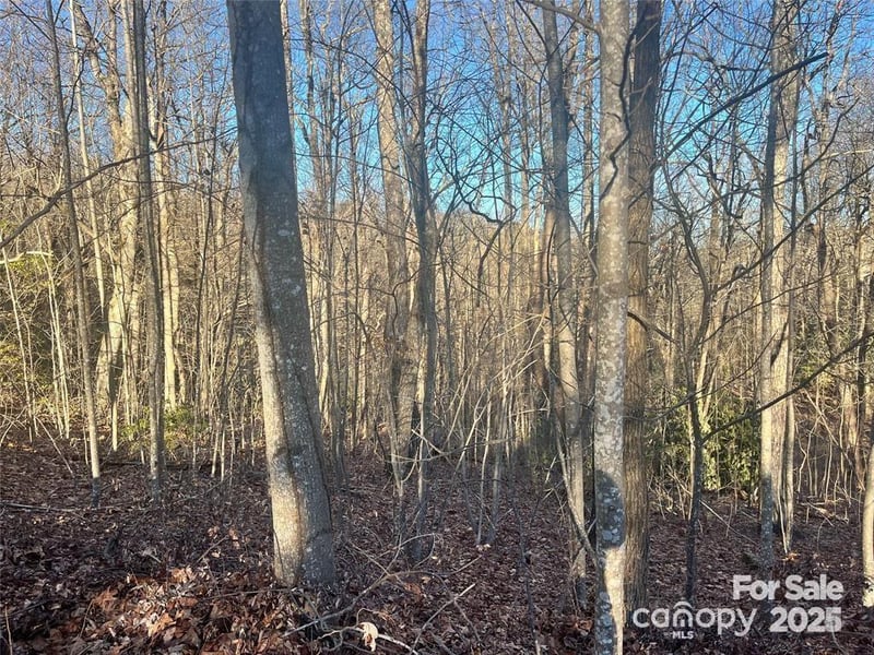 129 Pinnacle Peak Lane, Flat Rock, NC -  - $55,000