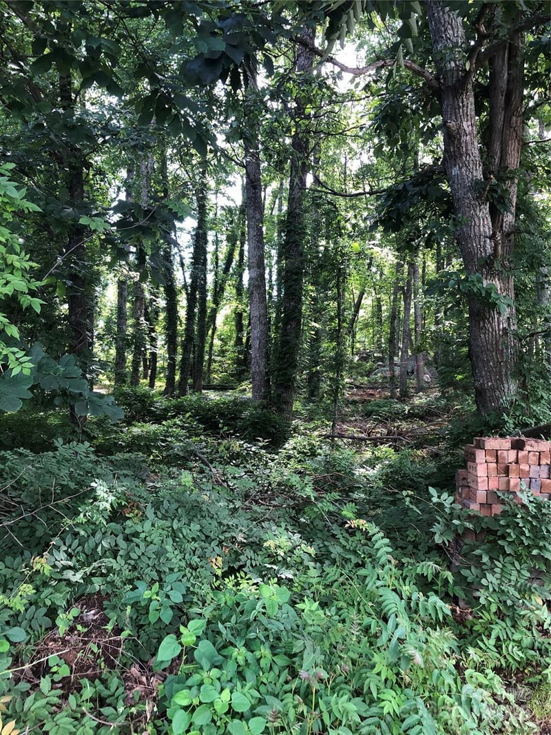 Lot 6-7 Ridgeline Drive, Salisbury, NC -  - $46,500