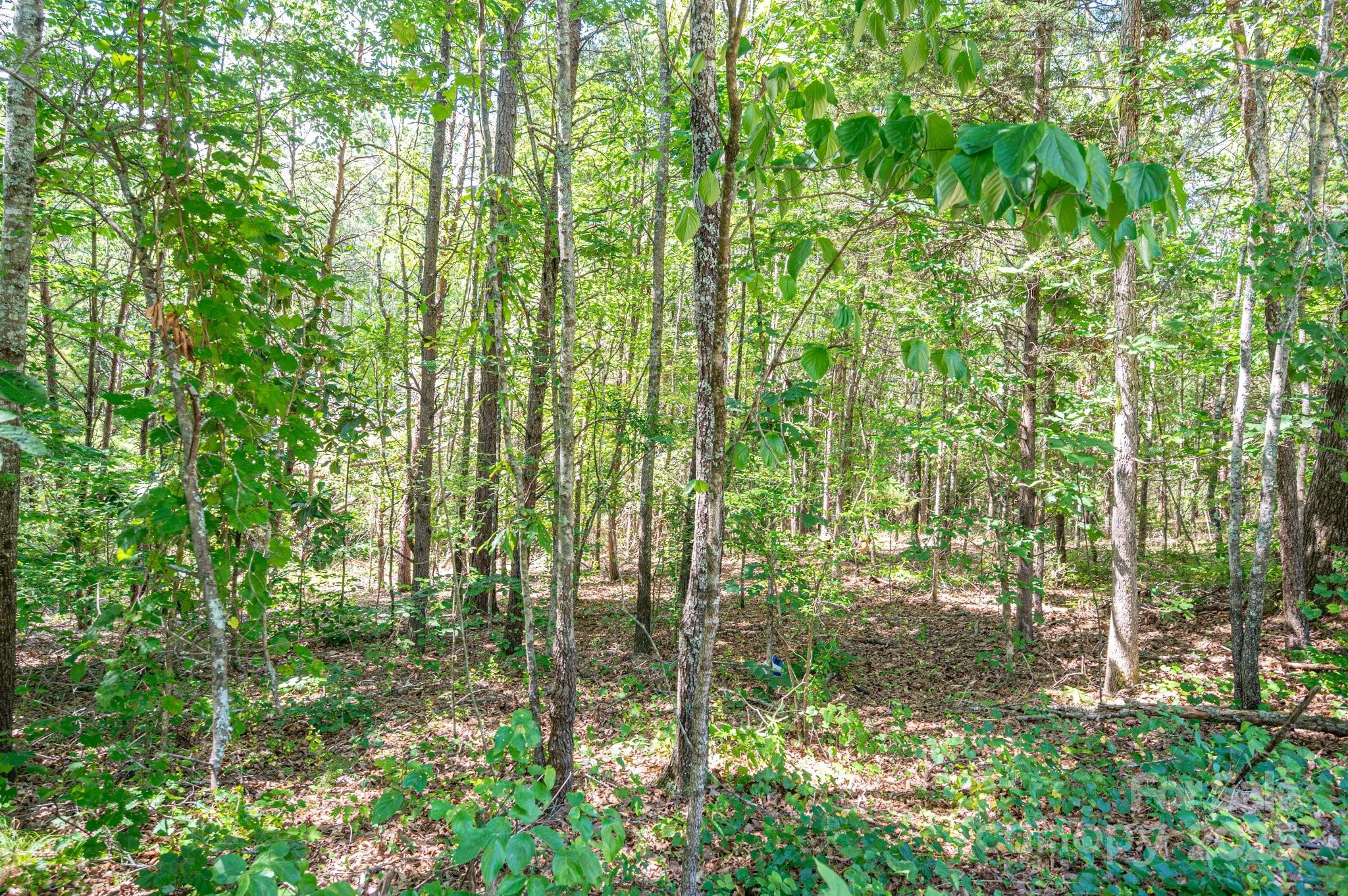 Lot # 16 Meadow Crossing Drive, Rutherfordton, NC. property listing photo