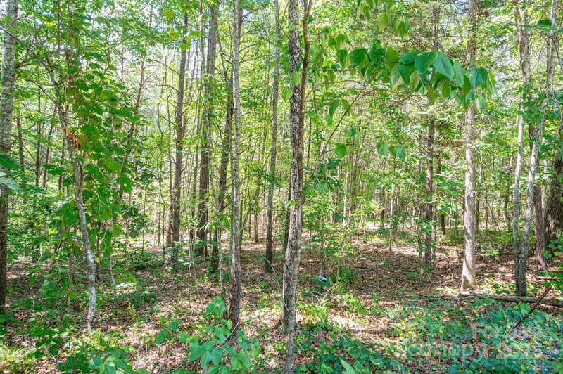 Lot # 16 Meadow Crossing Drive, Rutherfordton, NC -  - $32,500