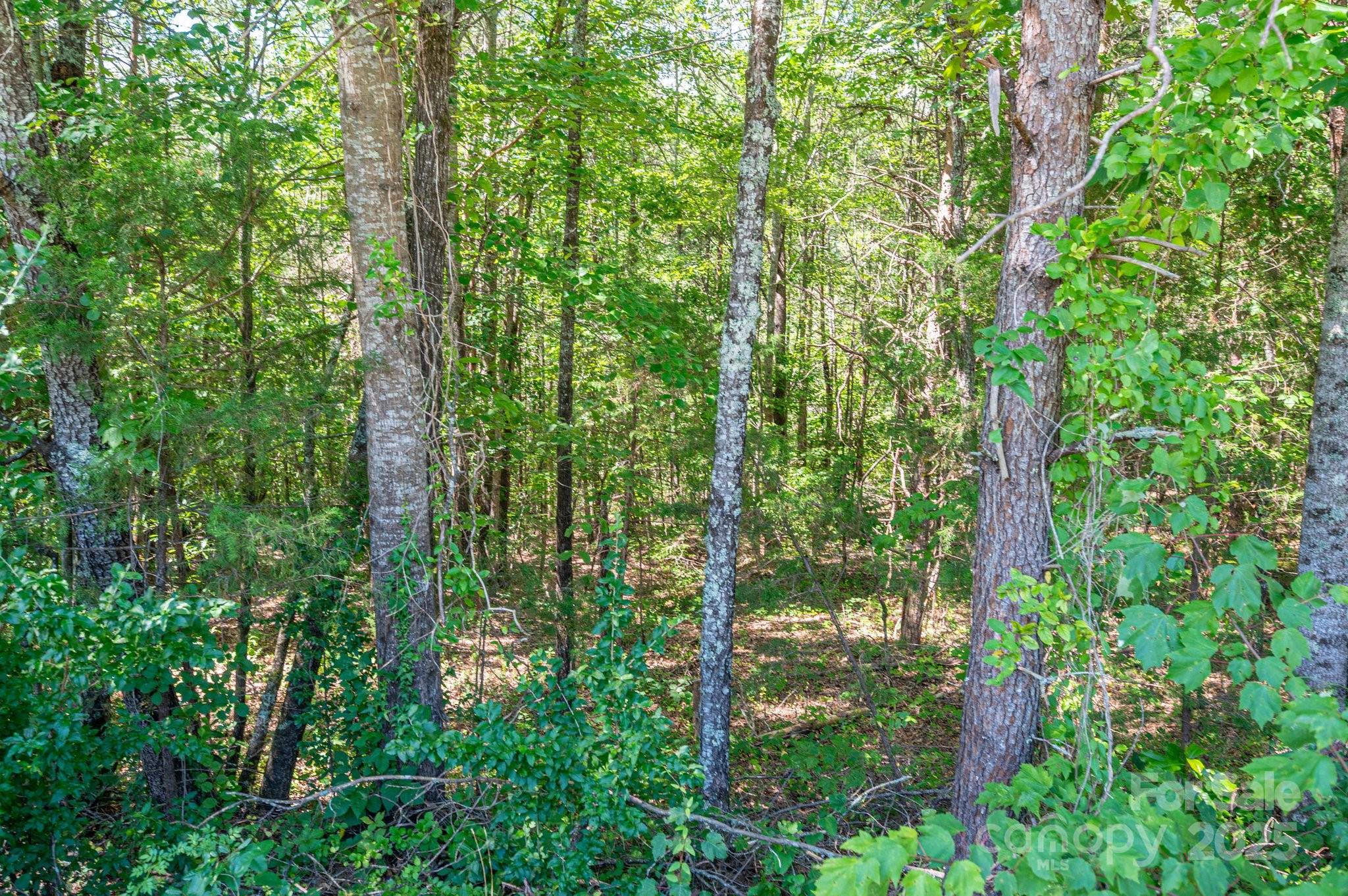 Lot 7 Meadow Crossing Drive, Rutherfordton, NC. property listing photo