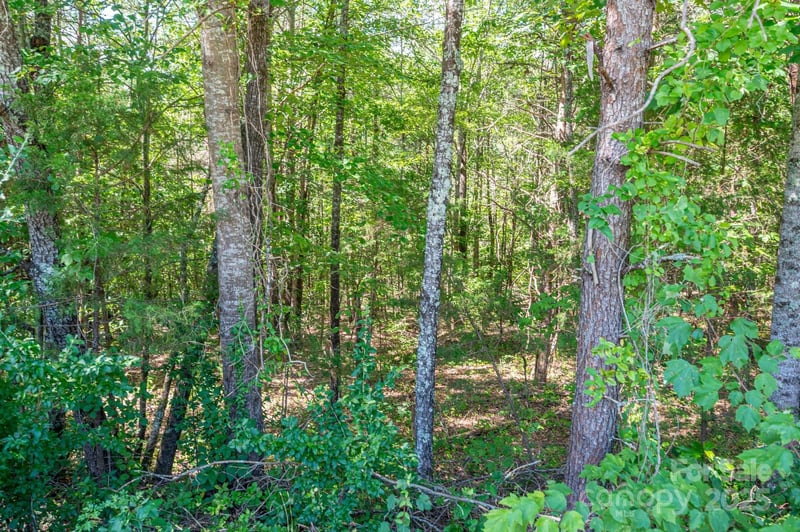 Lot 7 Meadow Crossing Drive, Rutherfordton, NC -  - $32,500
