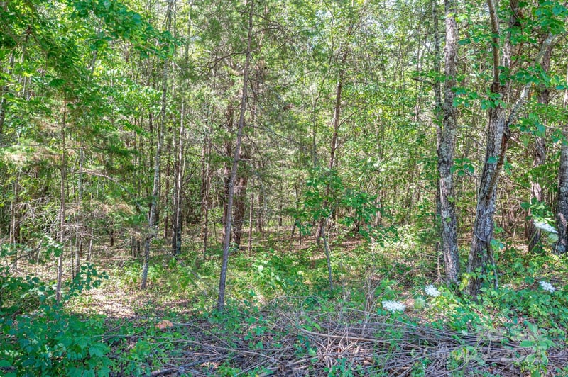 Lot # 15 Meadow Crossing Drive, Rutherfordton, NC -  - $32,500
