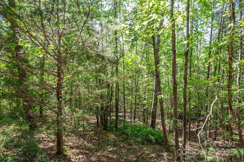 Lot #14 Meadow Crossing Drive, Rutherfordton, NC -  - $32,500