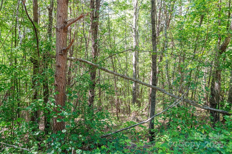 Lot #13 Meadow Crossing Drive, Rutherfordton, NC -  - $32,500