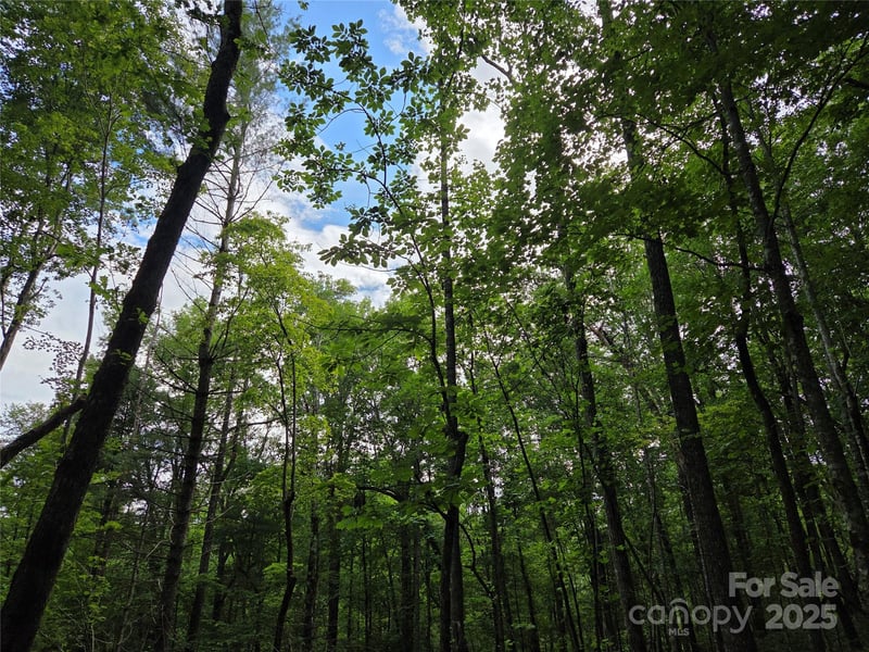 TBD Cedar Lane, Brevard, NC -  - $475,000