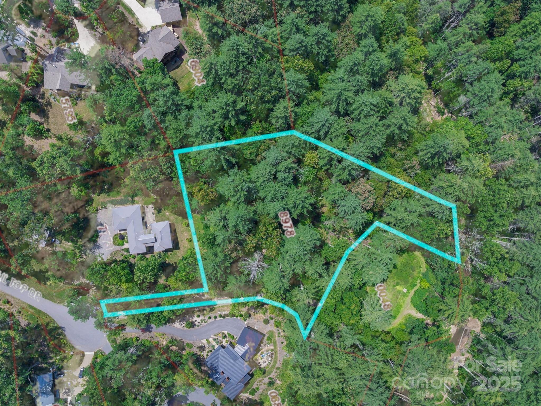 52 Trail Top Dr, Asheville, NC 28805. property listing photo