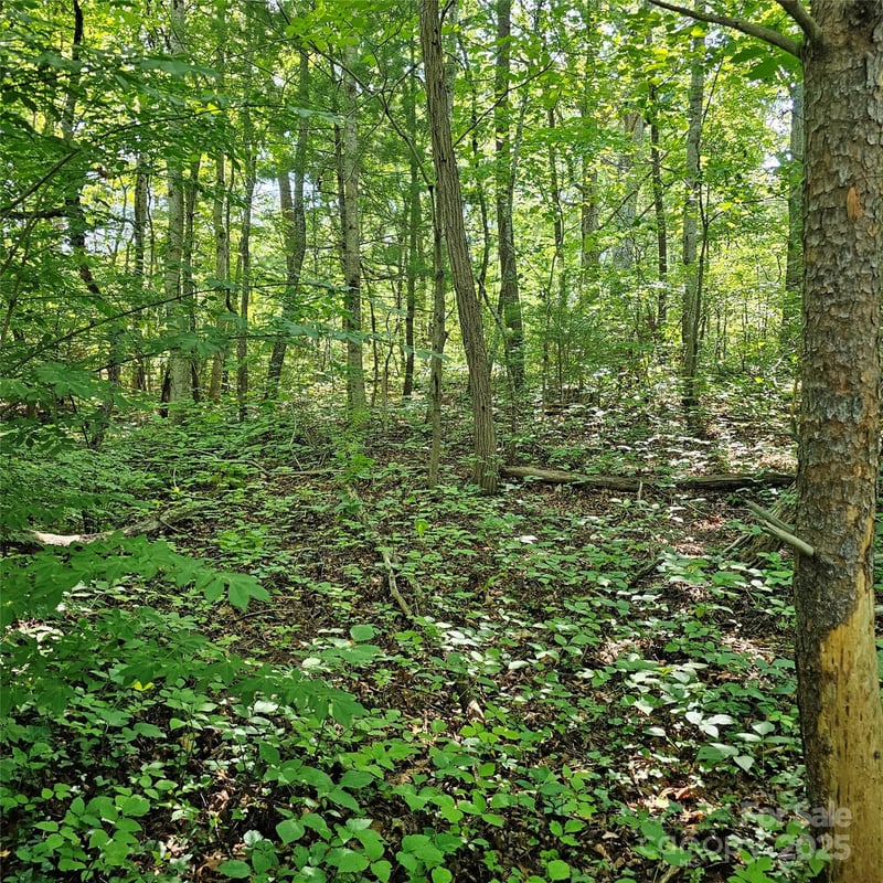 99999 Campground Road, Asheville, NC -  - $200,000