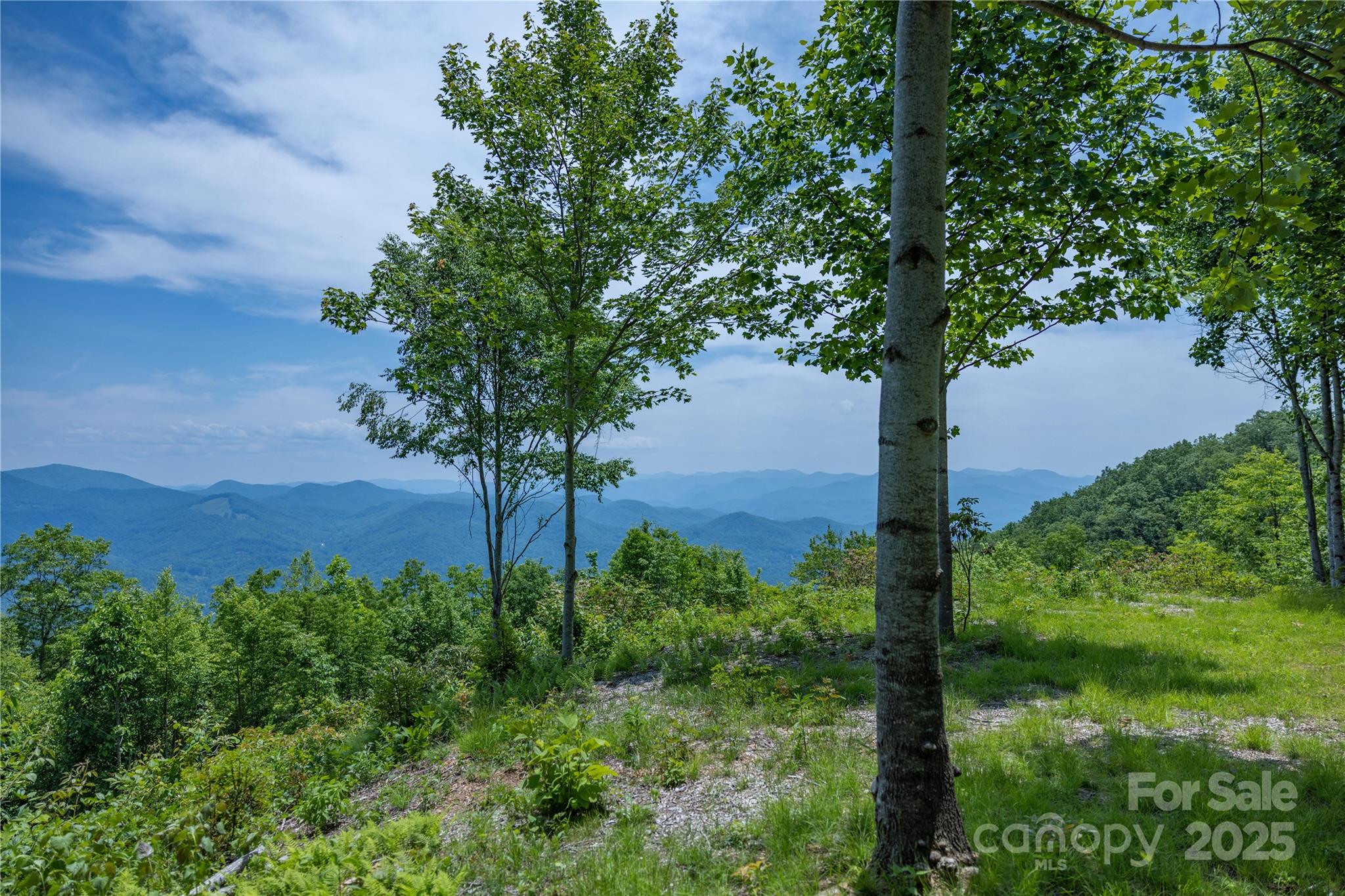 3409 Parris Branch Rd, Sylva, NC 28779. property listing photo
