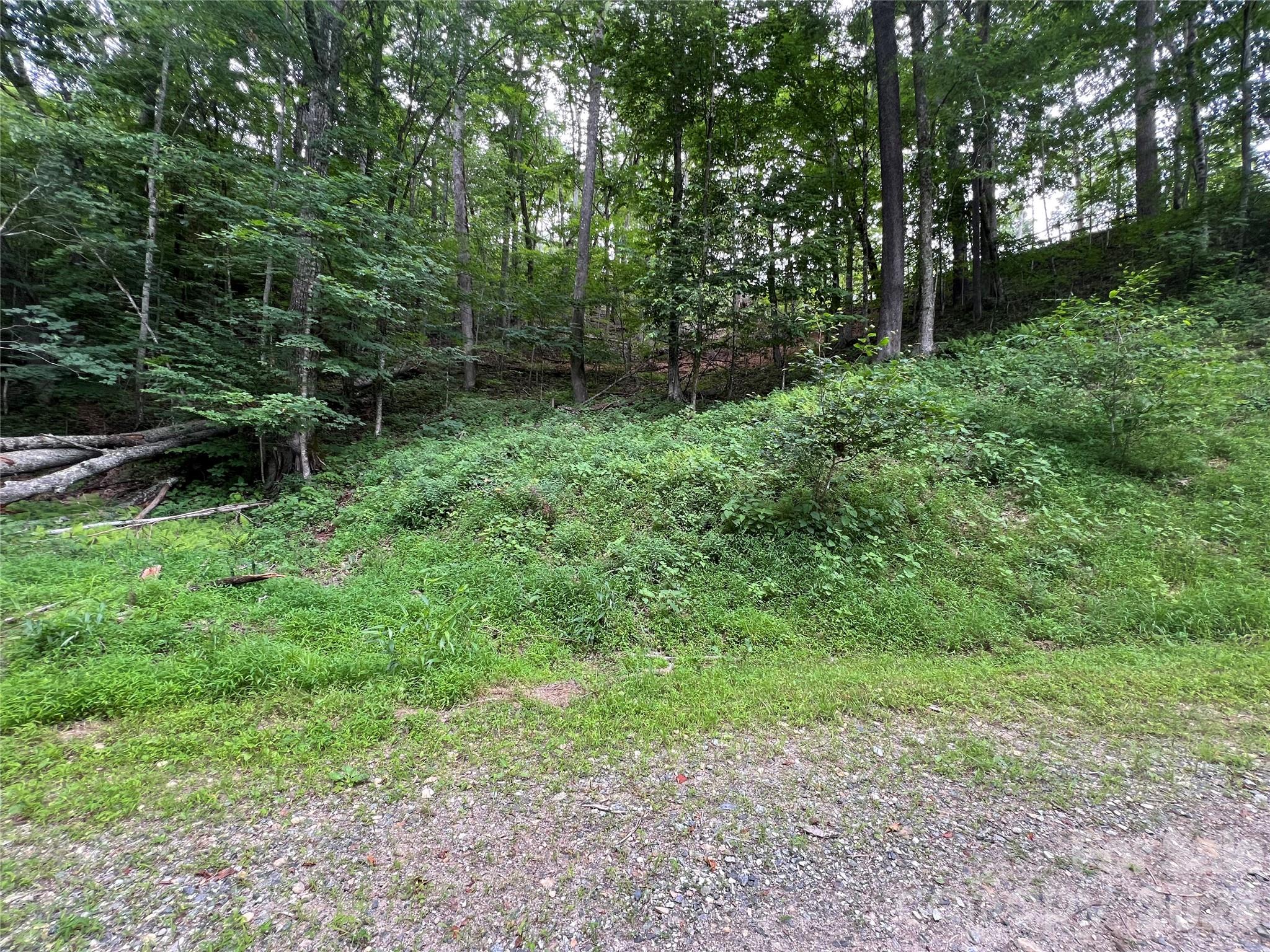 0 CHESTNUT Lane Lot 84, Mars Hill, NC. property listing photo