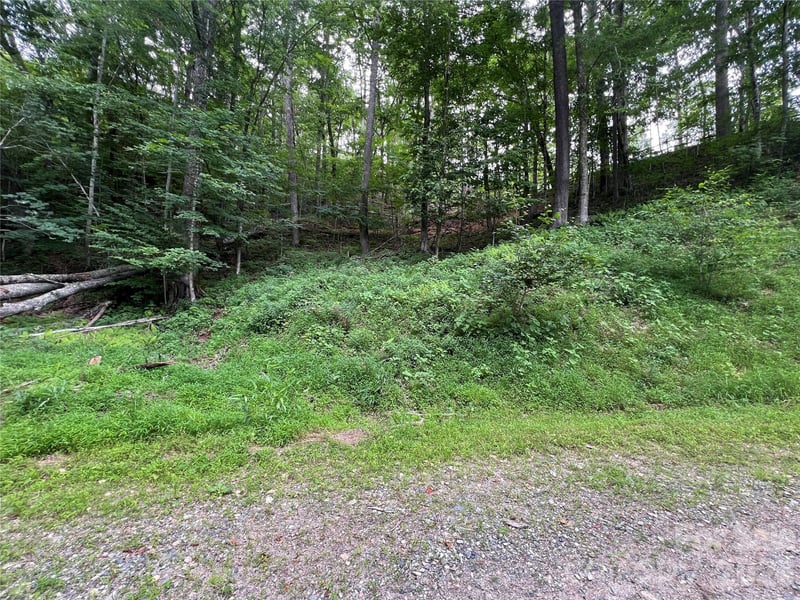 0 CHESTNUT Lane Lot 84, Mars Hill, NC -  - $9,900