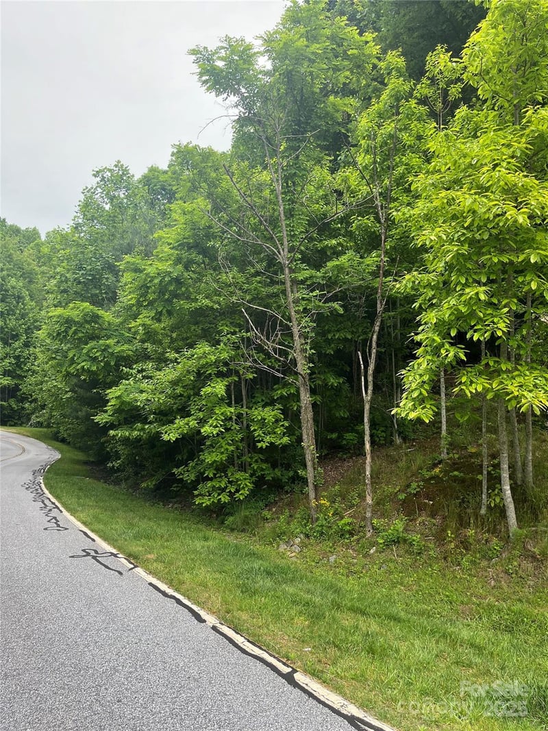 112 PINNACLE PEAK Lane, Flat Rock, NC -  - $99,000