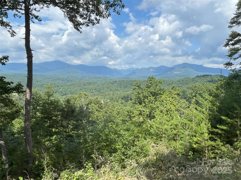 00 Bills Mountain Trail Apt 6, Lake Lure, NC -  - $165,000
