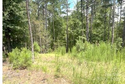 2127 Oldfield Road, Rock Hill, SC -  - $1,750,000