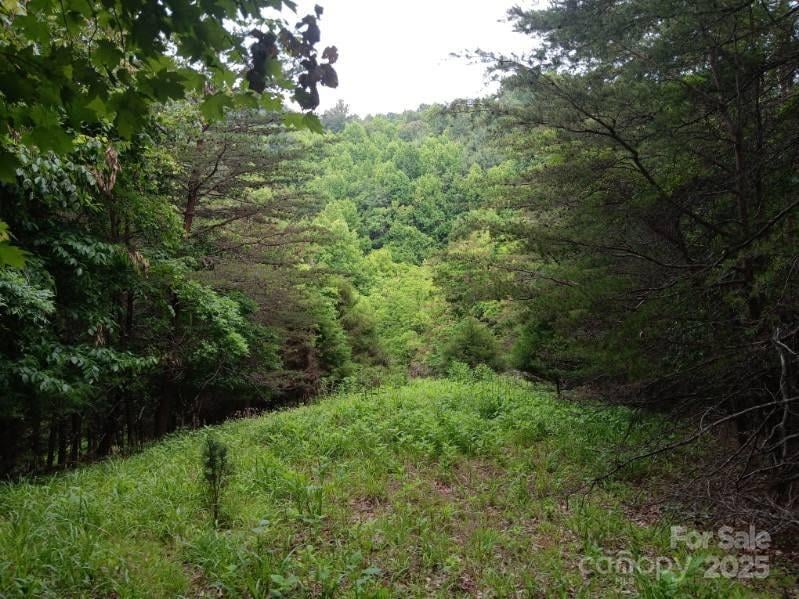 2239 NC Hwy 268 Highway, Wilkesboro, NC -  - $398,000