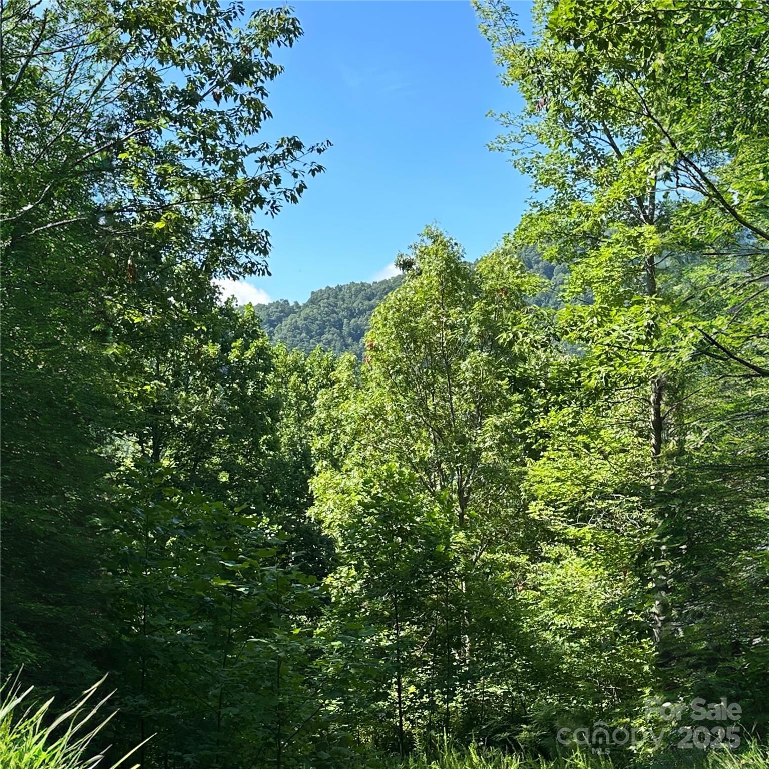 33 Nuthatch Ln T-84, Black Mountain, NC 28711. property listing photo
