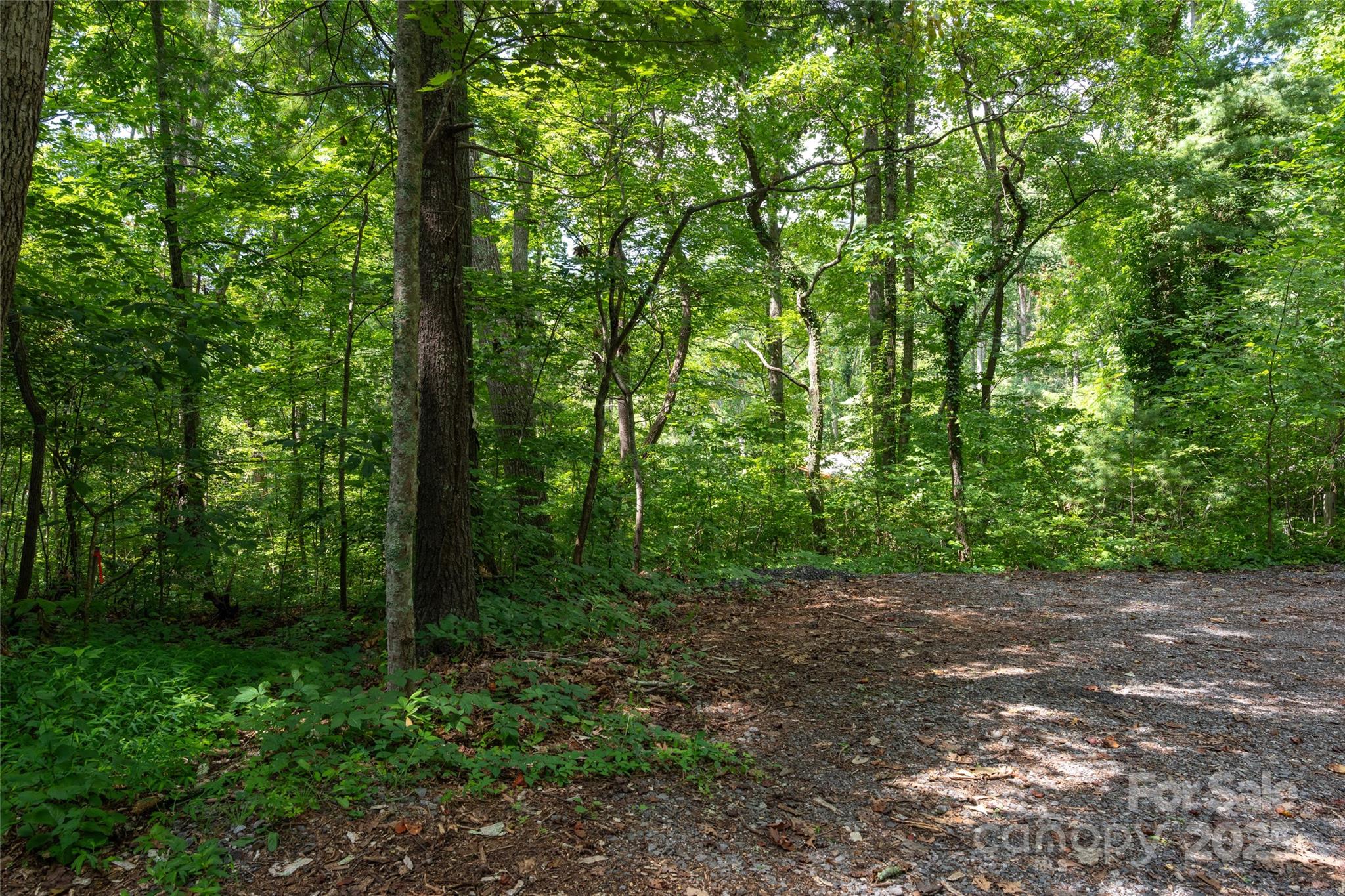 99999 Buffalo Trail Apt 86, Asheville, NC. property listing photo