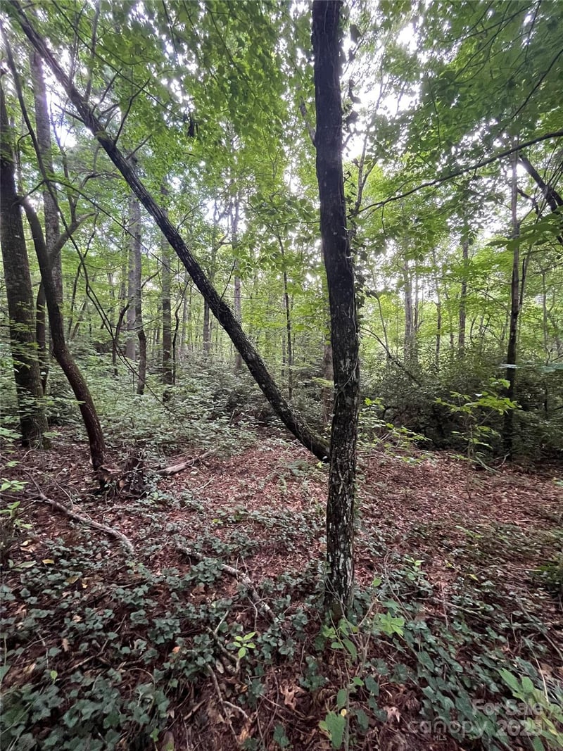 000 GREENLEAF Drive, Flat Rock, NC -  - $79,900