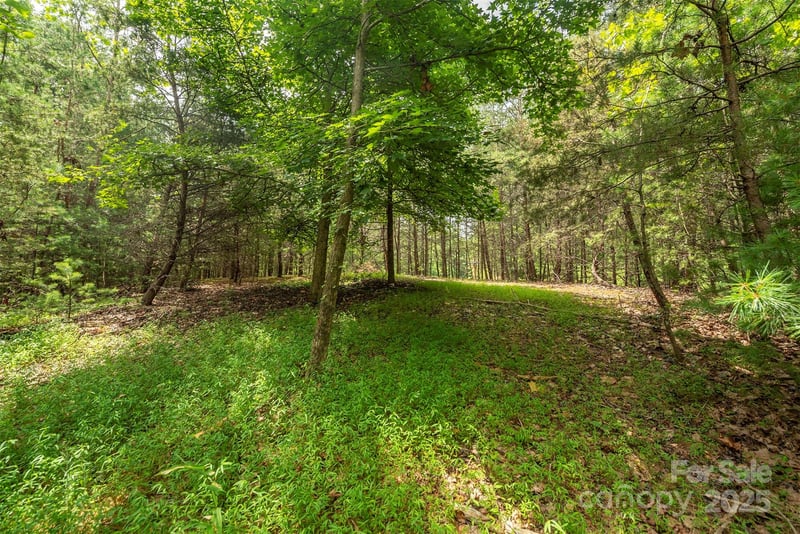 LOT 46 Black Forest Drive, Marion, NC -  - $175,000