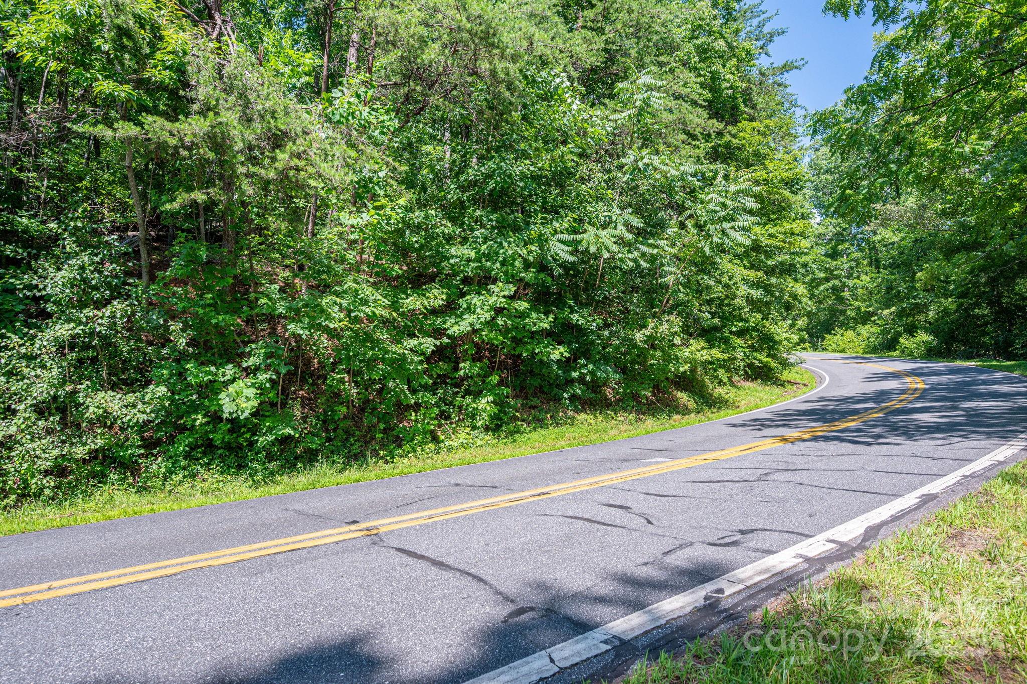 Lot 3 Cleghorn Mill Road, Rutherfordton, NC. property listing photo
