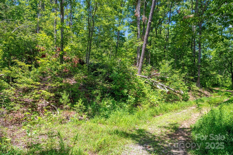 Lot 221 Plantation Drive, Rutherfordton, NC -  - $59,000