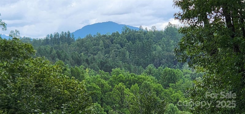LOT 3 S Cross Creek Trail, Mill Spring, NC -  - $65,900