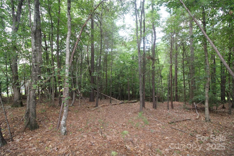 Lot 1 Lake Wylie Drive, Rock Hill, SC -  - $200,000