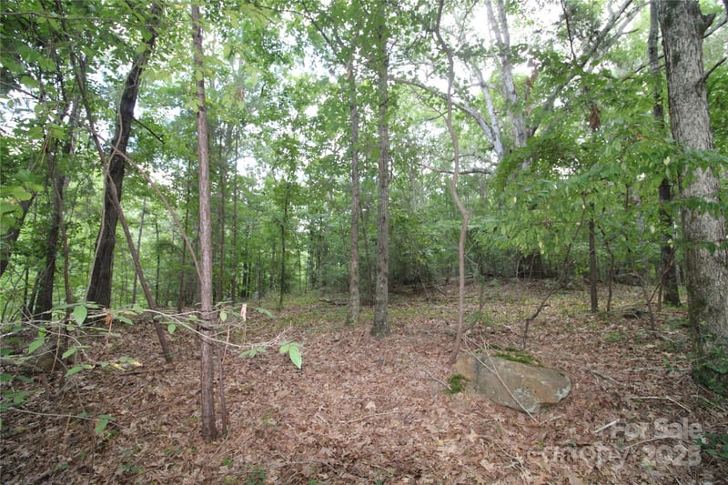 Lot 2 Lake Wylie Drive, Rock Hill, SC -  - $200,000