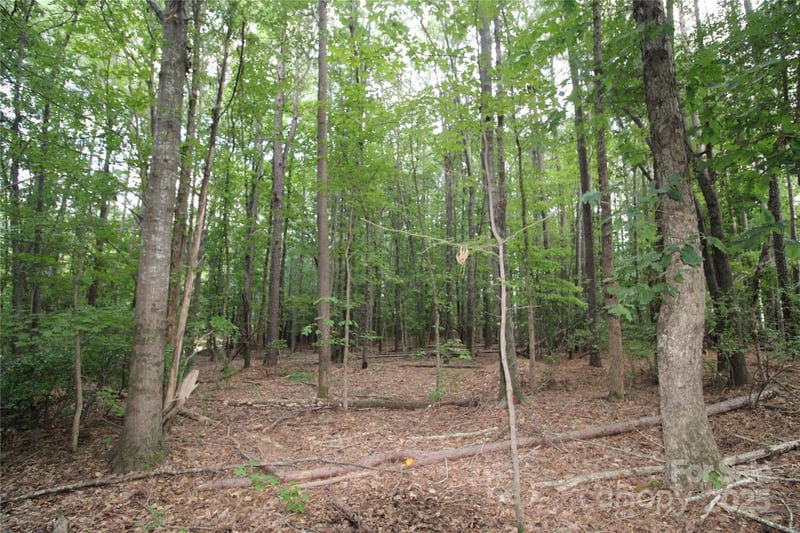 Lot 4 Lake Wylie Drive, Rock Hill, SC -  - $200,000
