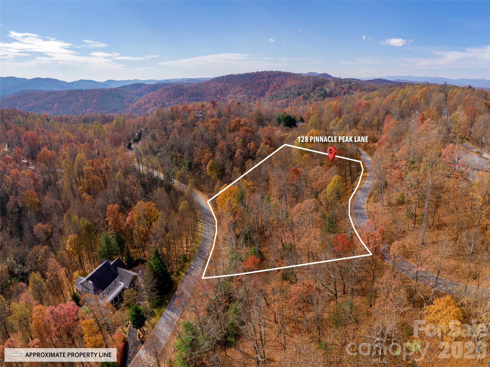 128 Pinnacle Peak Ln, Flat Rock, NC 28731. property listing photo