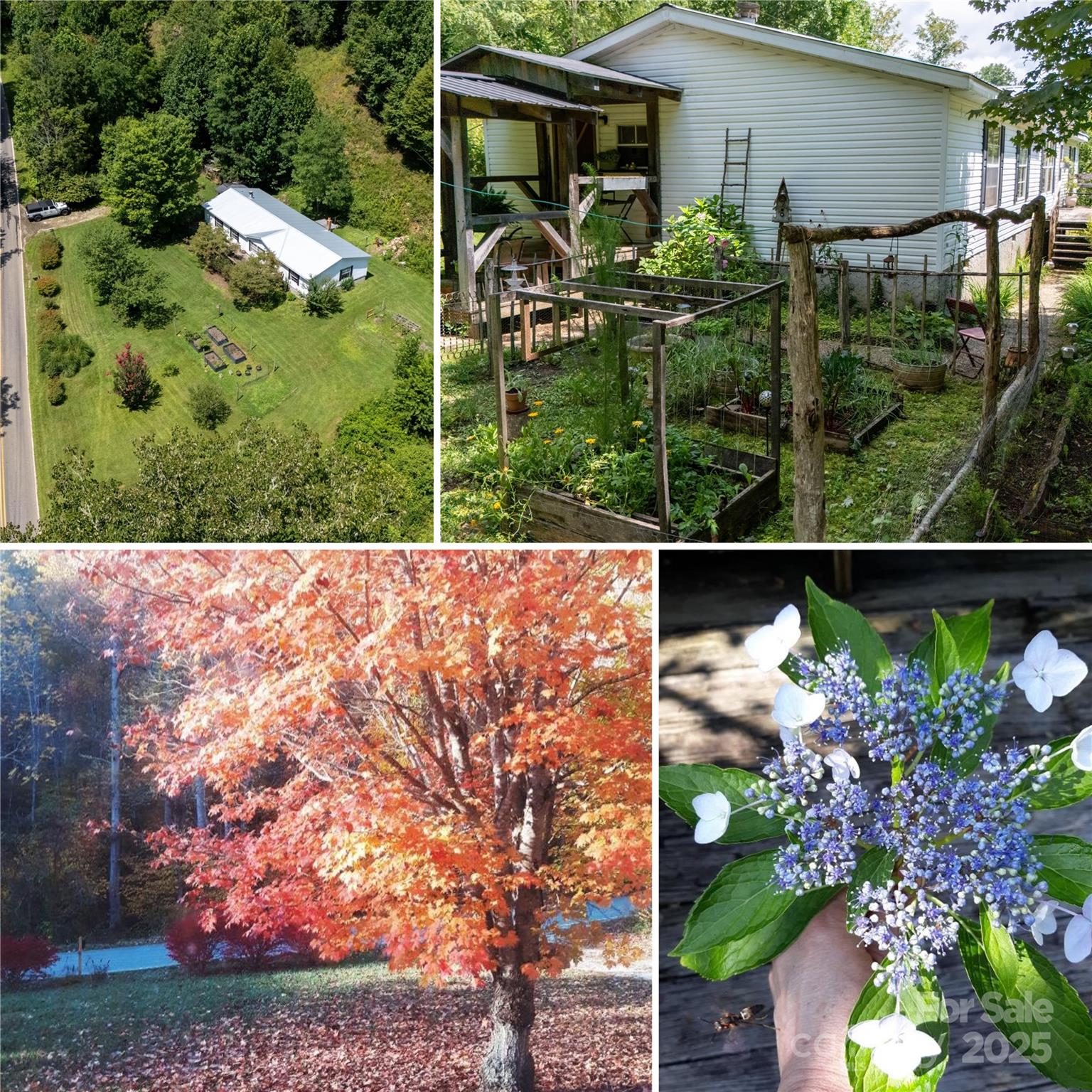 614 Upper Doe Bag, Green Mountain, NC. property listing photo