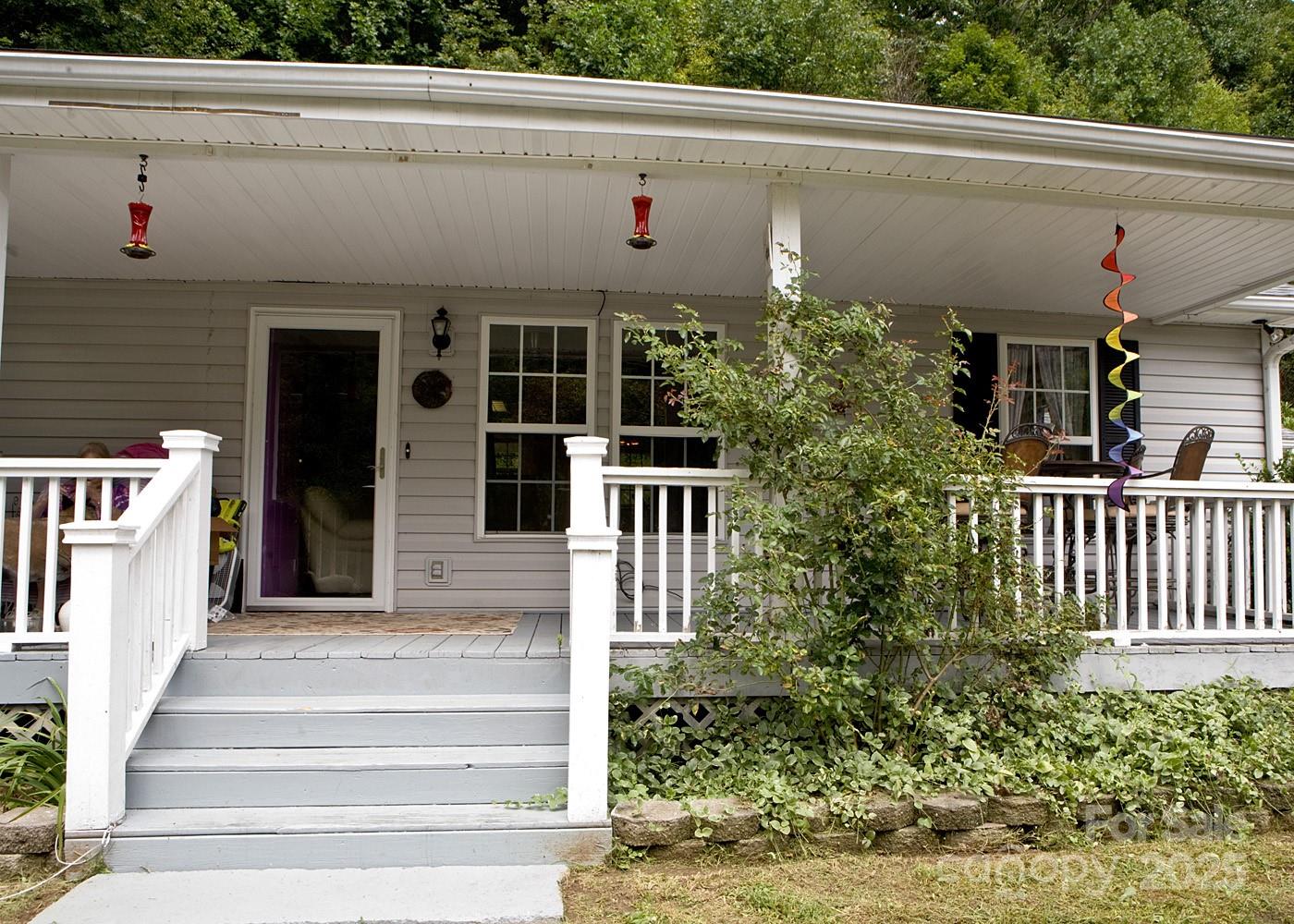 165 Peepeye Cove, Leicester, NC. property listing photo
