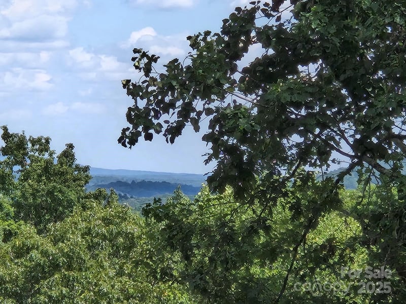Lot 34 Hawks Nest Trail, Lake Lure, NC -  - $9,500