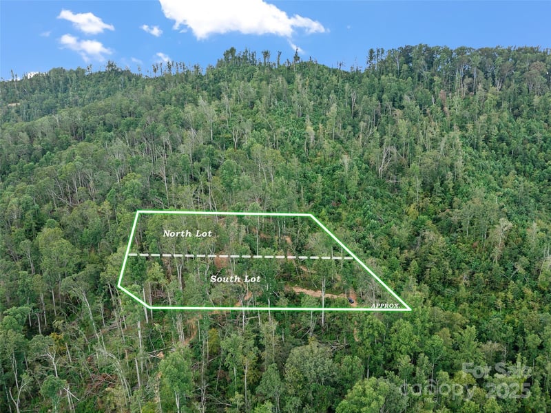 99999 Youngs Gap Road, Fletcher, NC -  - $275,000